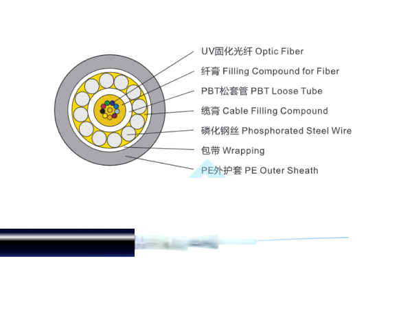 2~12芯中心束管式光纜（鋼絲鎧裝）